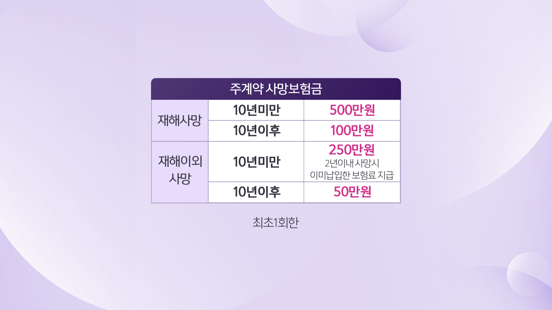 보험최종 (19)